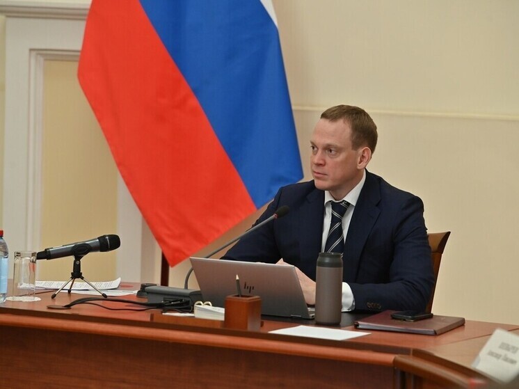 Павел Малков заявил о важности развития перинатальной помощи в Рязанской области