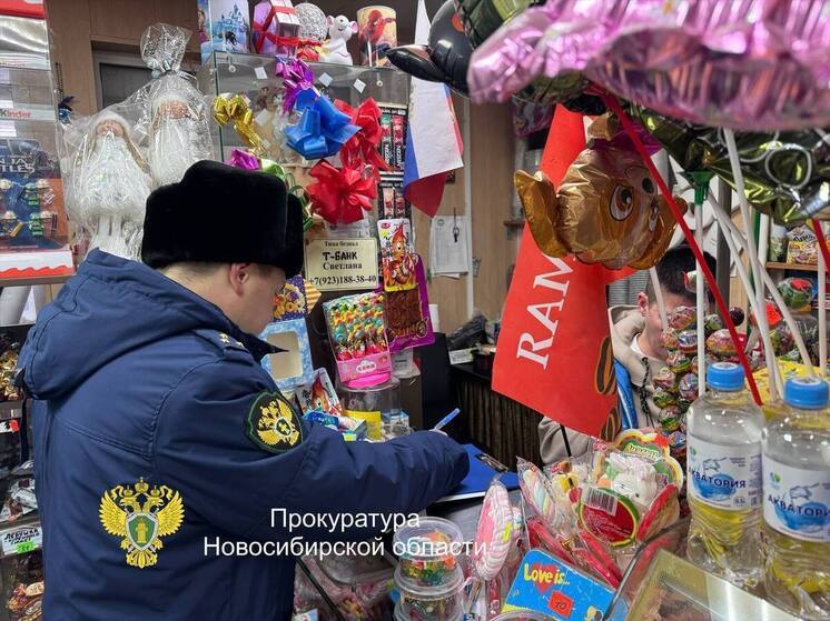 Продавцов пиротехники в Новосибирске наказали за нарушения пожарной безопасности