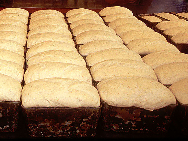 Британский пекарь возмутил мексиканцев высказываниями об их еде