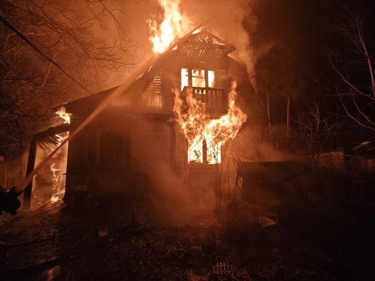 В Ленобласти за сутки спасли трех человек из пожаров и после ДТП