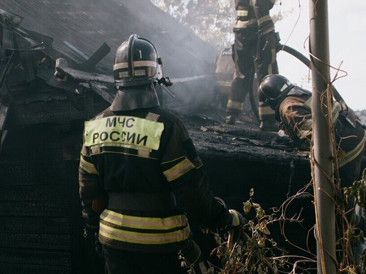 В Пензенской области за сутки произошло два пожара