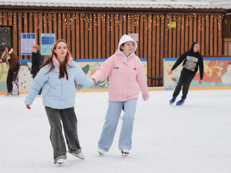 В Туле приглашают на новогодние катания в Ледовый дворец