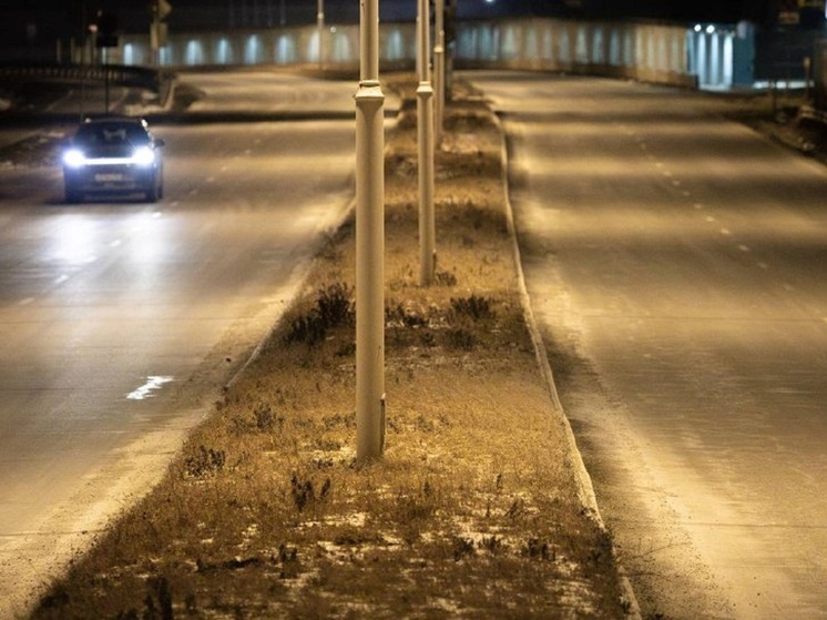 Во Владивостоке снизилась аварийность на электросетях после замены 50 км проводов