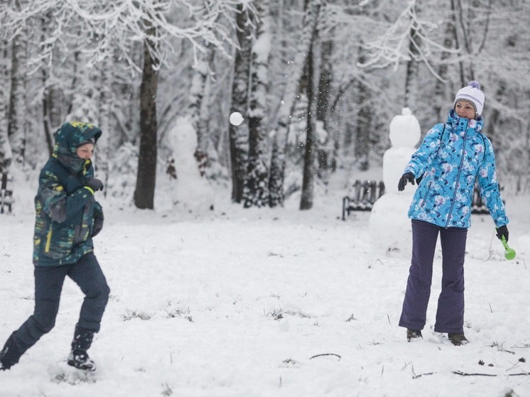 Синоптик пообещал настоящую зиму с морозами ближе к Новому году