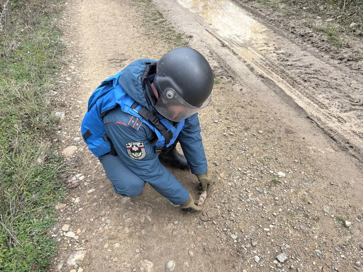 Спасатели МЧС обезвредили два взрывоопасных предмета под Керчью и Феодосией