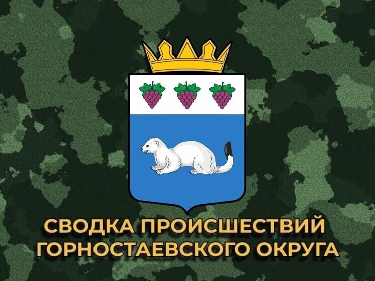 За сутки ВСУ 25 раз обстреляли Горностаевский округ Херсонской области