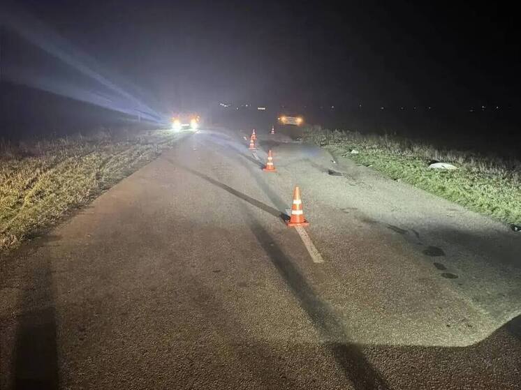 Полиция задержала жителя Ставрополя, скрывшегося с места смертельного ДТП
