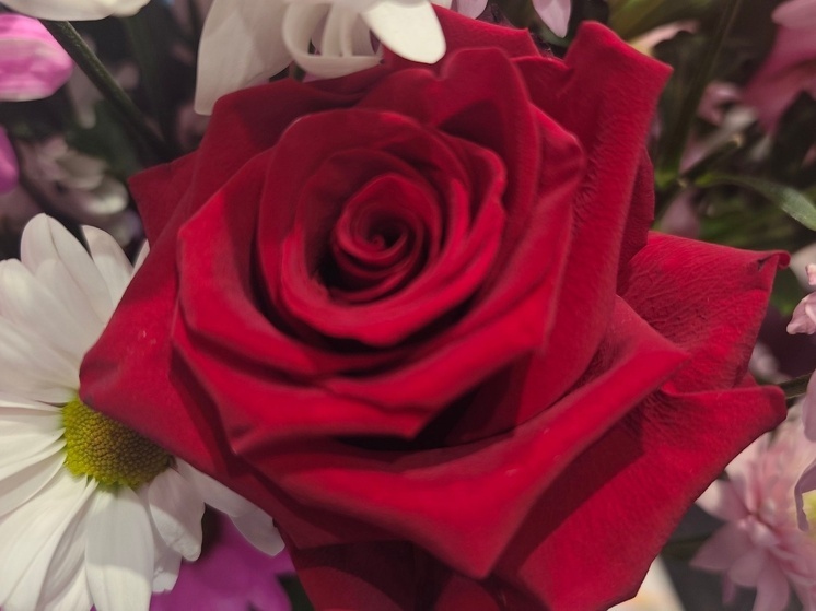 Несовершеннолетняя вологжанка чуть не стала жертвой лже-доставщика цветов