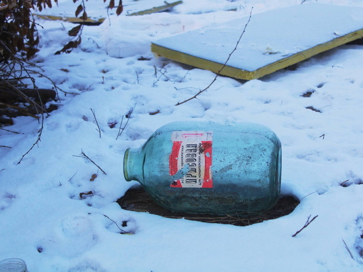 В Омске готовят программу по соблюдению правил благоустройства