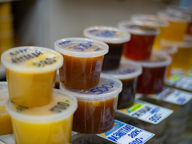 В Котласе и Котласском округе торговали фальсифицированным мёдом