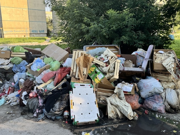 В Новосибирске задержки вывоза мусора объяснили пробками и парковками у контейнеров