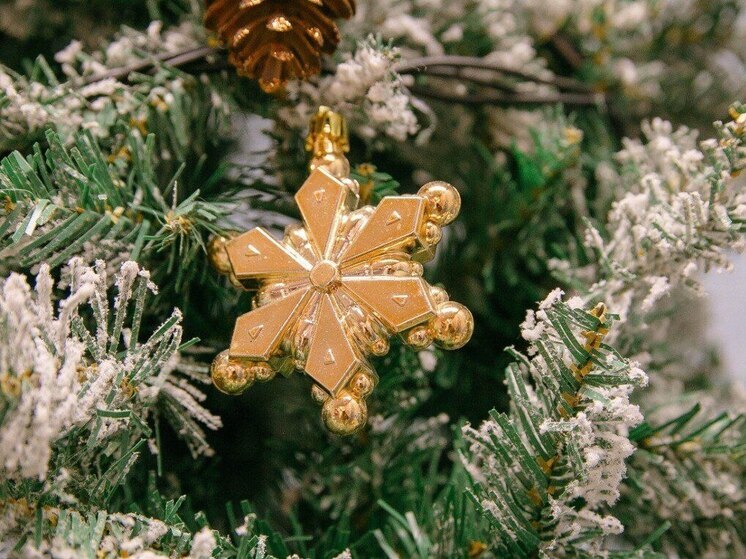 Снег, дождь и гололед: синоптики не порадовали погодой 19 декабря в Приморье