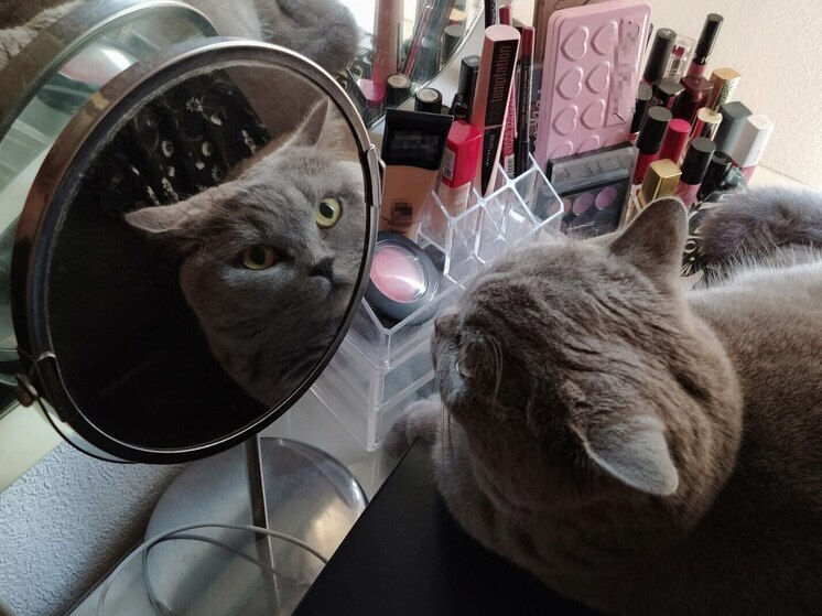 Азиатский многоступенчатый уход давно стал символом безупречной кожи и осознанного отношения к красоте