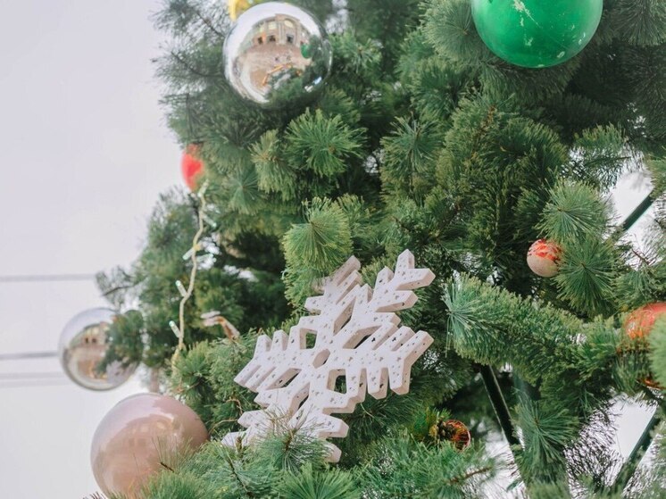 Число ТОСов во Владивостоке выросло в пять раз за три года