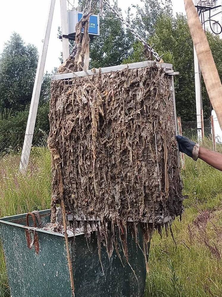 Калужанам покажут все, что они смыли в унитаз