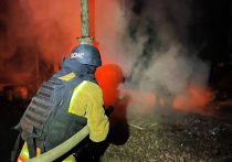 Ни о каком перемирии на Украине пока речи даже не идет