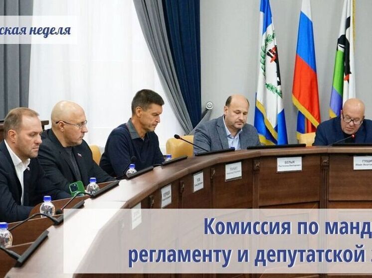 Две комиссии думы Иркутска провели заседания