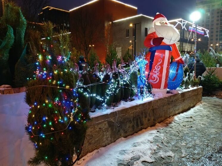 В Пензе выявили нелегальный елочный базар