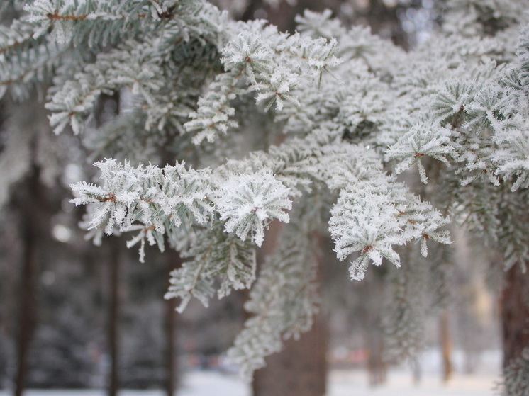 В Омской области прогнозируют похолодание и снегопады на выходные