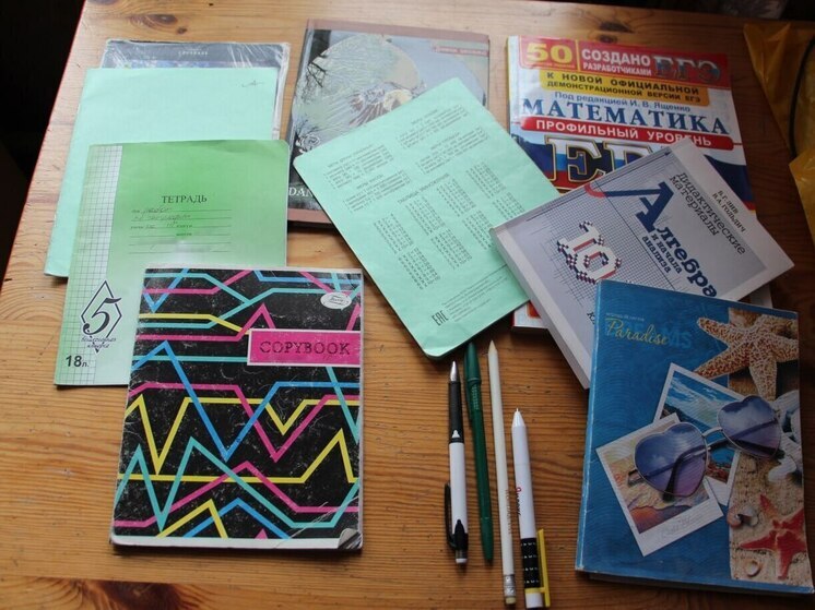 Мошенники стали обманывать петербургских школьников через электронные дневники