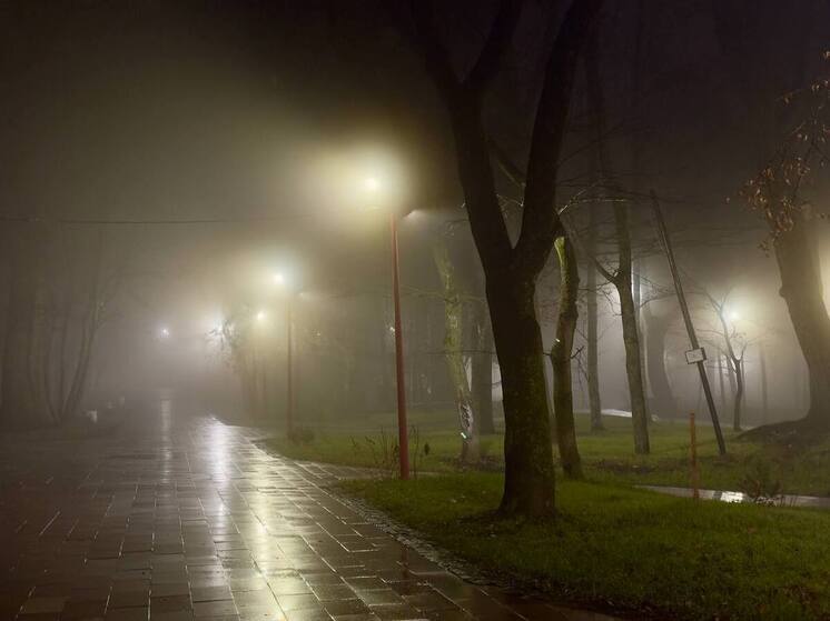 Жителей Пензенской области предупредили о сильном тумане 19 декабря