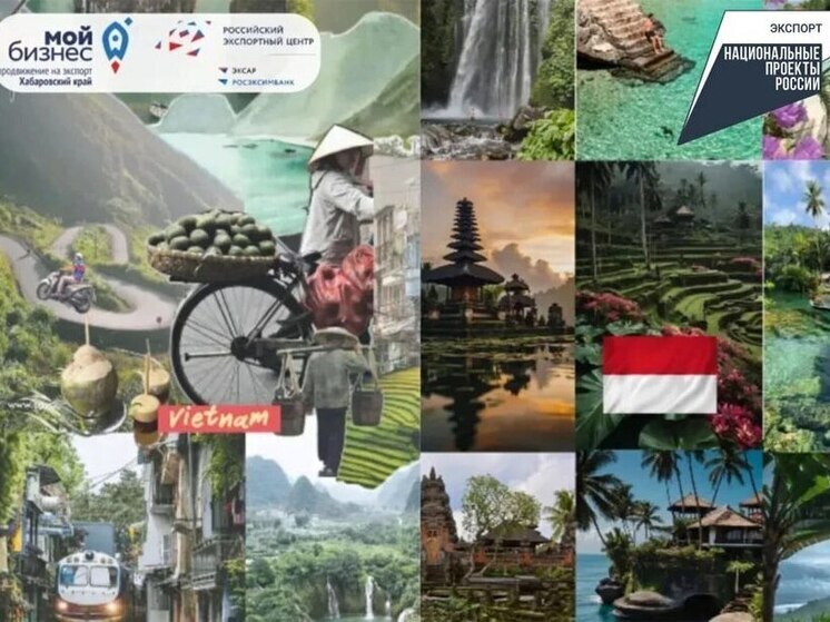 Хабаровские компании покоряют Азию: открылся набор на бизнес-миссии в Индонезию и Вьетнам