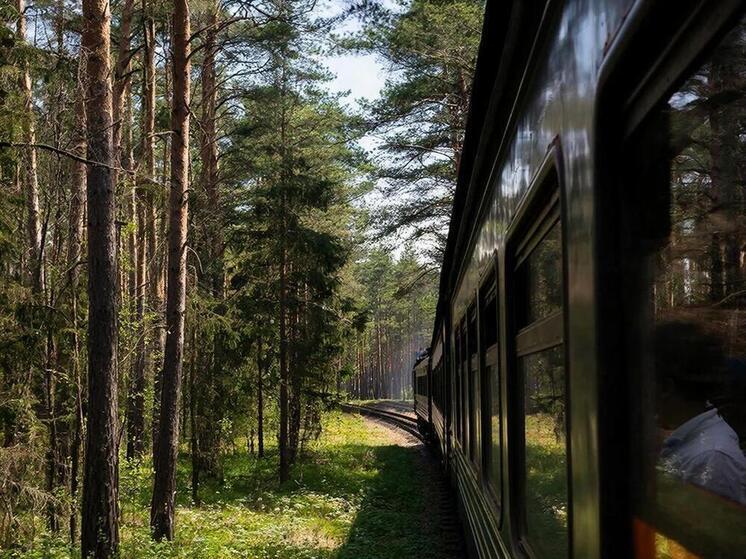 Сотрудники смоленского УФСБ задержали мужчину, пытавшегося подорвать железнодорожные пути