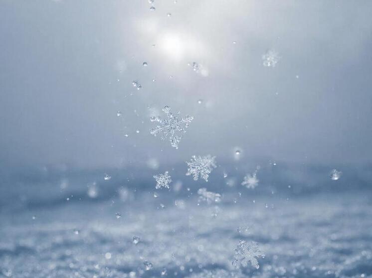 Суровая зима на островах: Сахалину обещают мороз до -31°C, Курилам — метель