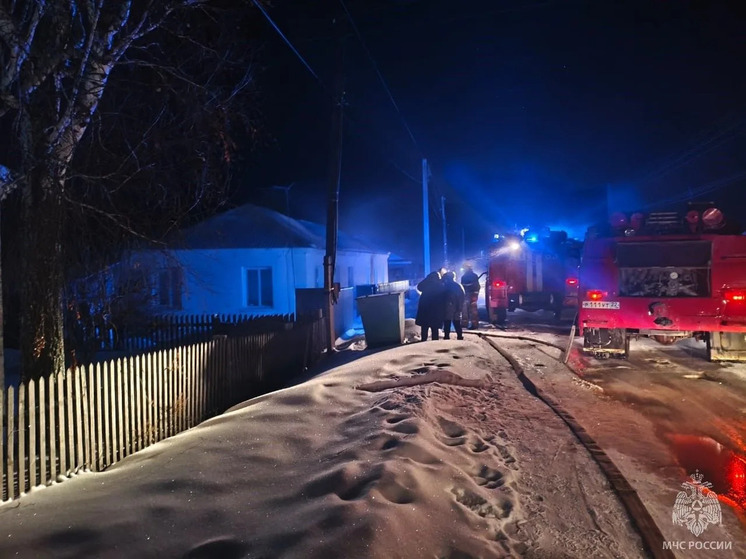 В Алтайском крае из-за перекала печи загорелся дом многодетной семьи