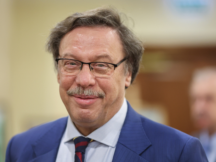 Михаил Барщевский покидает пост представителя правительства в Конституционном суде после 24 лет работы