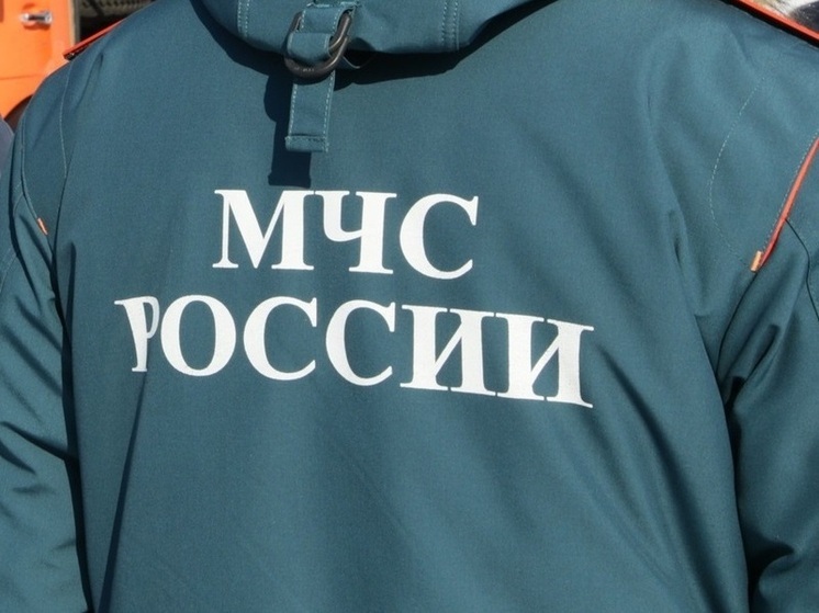 Внимательные соседи помогли избежать трагедии в Пласте