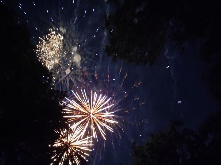 В Мурманске проверили точки продажи фейерверков