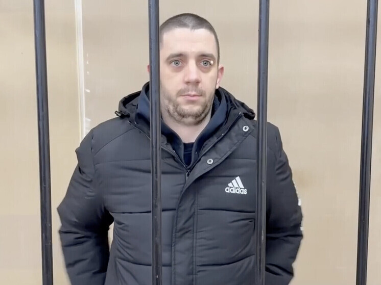 Британский наемник приговорен в Донецке к 13 годам колонии строгого режима