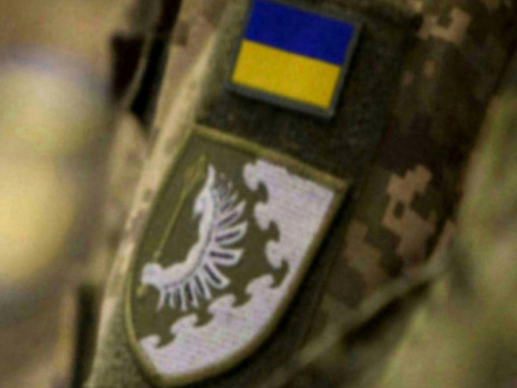 ТАСС: ВС РФ под Волчанском уничтожили замкомандира роты БПЛА ВСУ