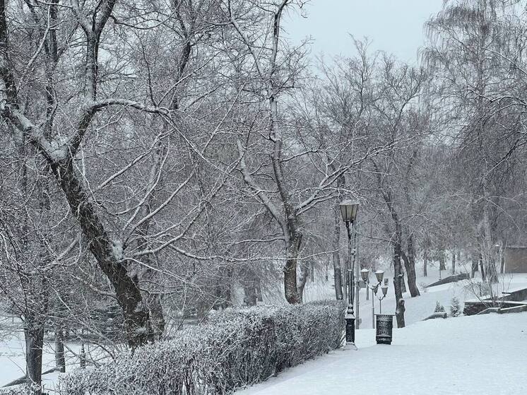 Библиотеки Самары готовят праздничные мастер-классы, спектакли и квесты к Новому году