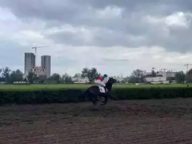 Владелец ростовского ипподрома ужесточил правила аренды конюшен