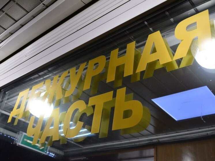 Пензенке грозит тюрьма за передачу личных банковских карт незнакомцу