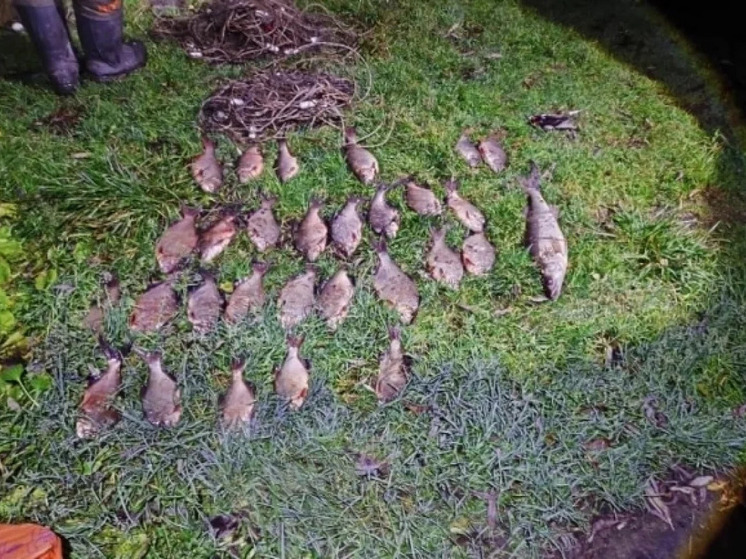 На зимовальной яме под Алексином двое браконьеров выловили почти 30 рыб