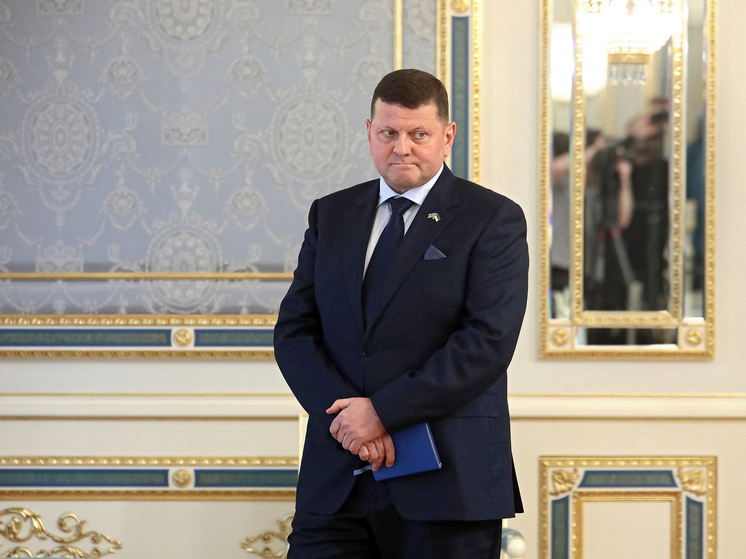 Политолог Скачко: Залужный предупредил Зеленского о возможном начале гражданской войны