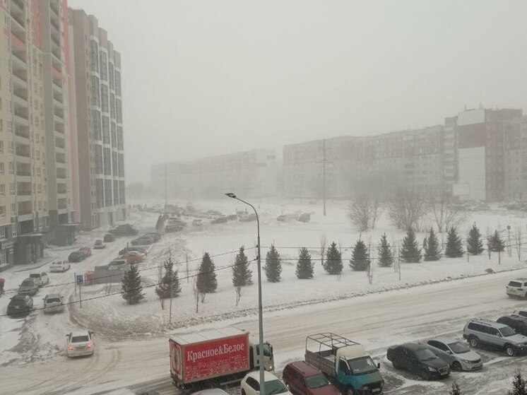 Метели и порывистый ветер придут в Алтайский край 19 декабря