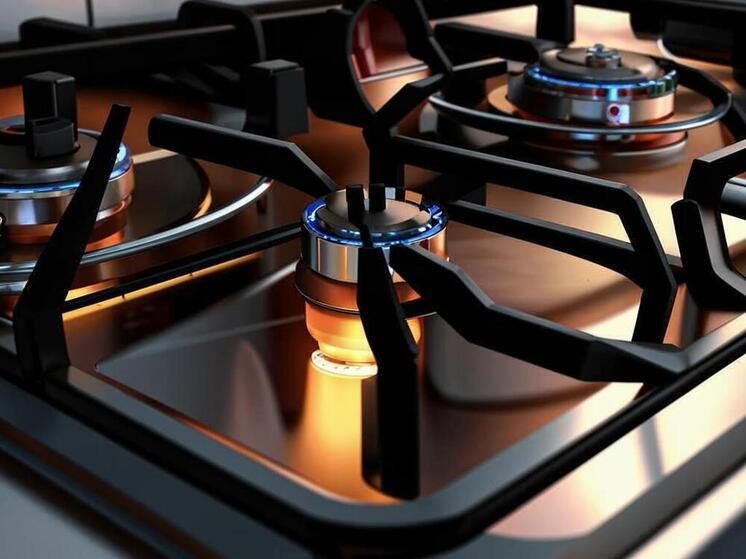 В Дагестане утвердили проект газификации села Щедрин Тляратинского района