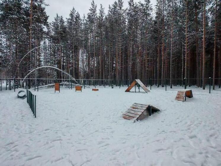 В Талинке появилась первая специализированная площадка для собак