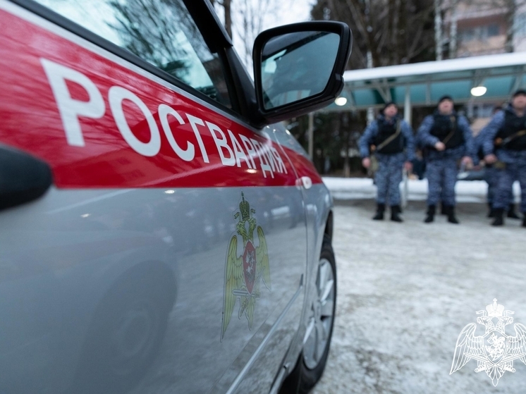 Росгвардейцы в Брянской области задержали 25 человек за неделю