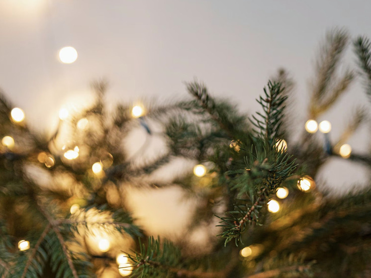 Жителям Самары рассказали о возможных рисках живой новогодней ели дома