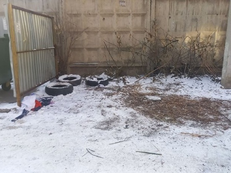 Горы костей животных нашли за центральным рынком в Абакане