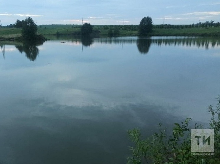 Суд постановил изъять участок на берегу Камы, который незаконно отдали татарстанцу