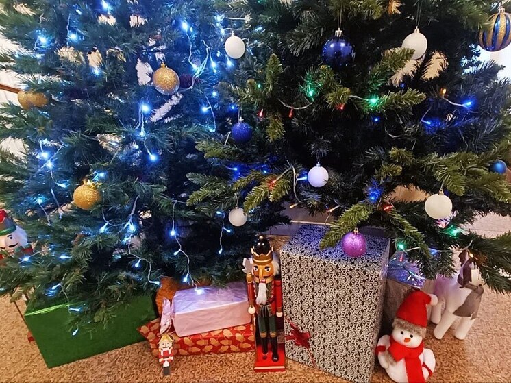 Тулякам в Роспотребнадзоре рассказали, как выбрать ёлочную гирлянду