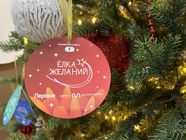 Продлен до 25 декабря прием заявок на всероссийскую «Елку желаний»