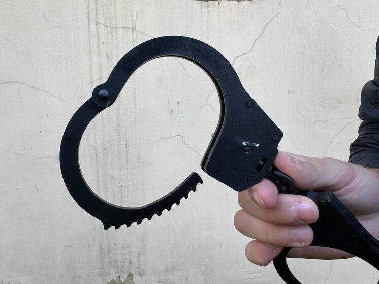 Магазинного вора из Приозерского района отправили в колонию за серию краж