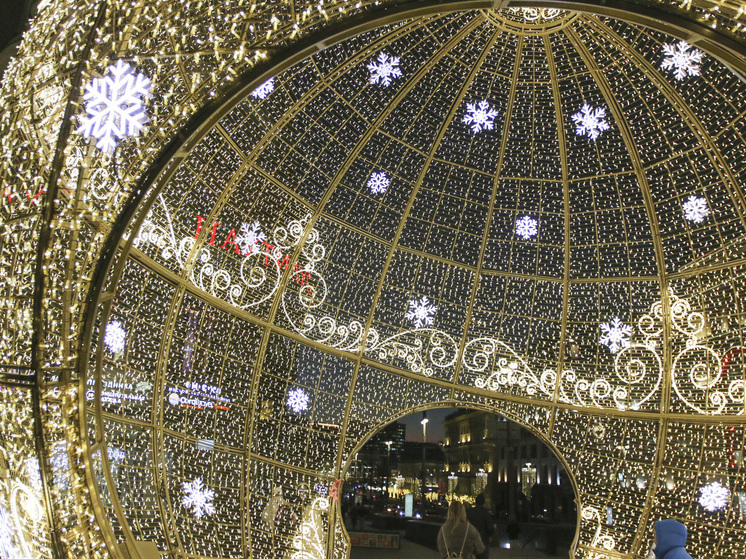 В Краснодаре птицы массово гибнут возле новогодних украшений